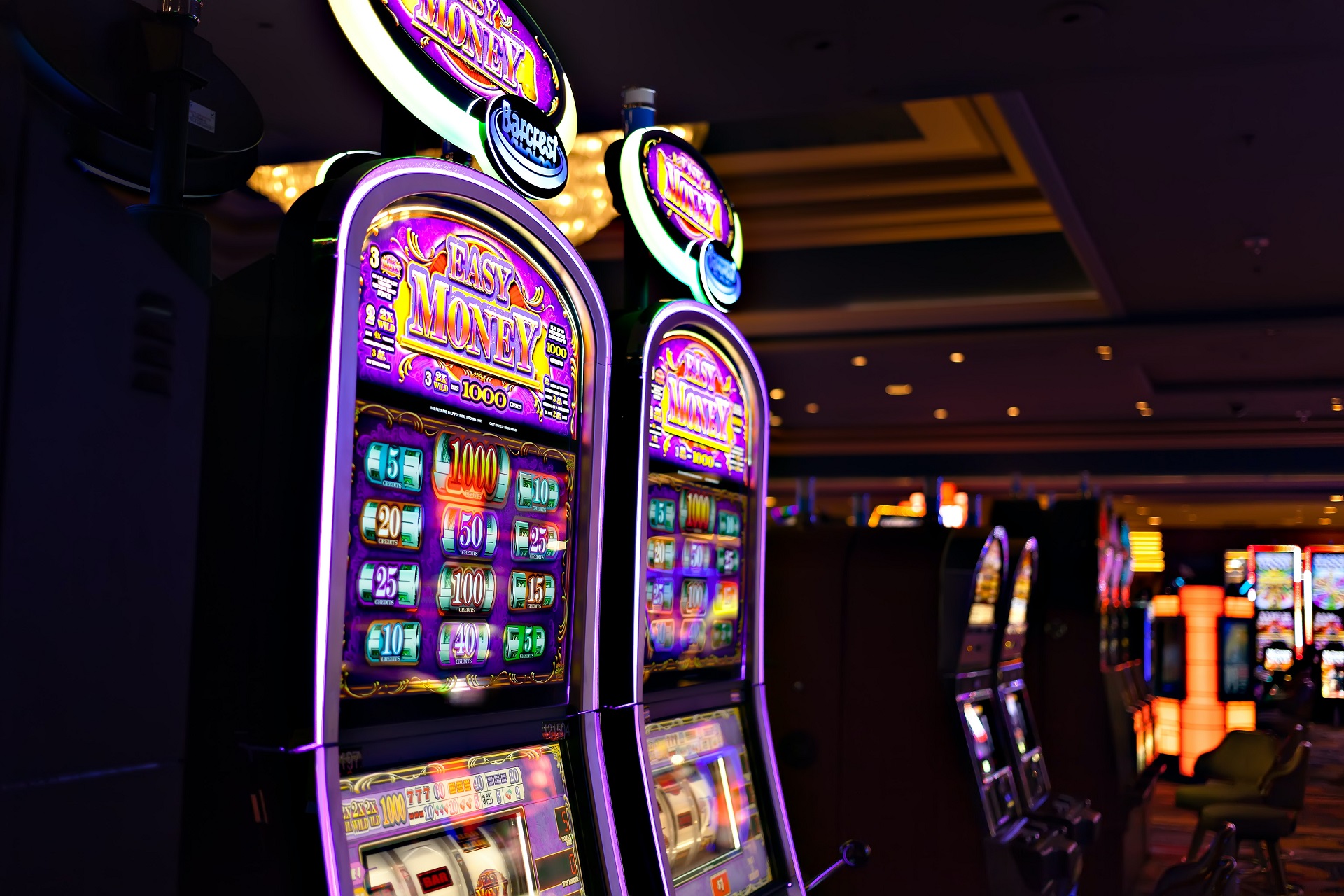 Best Online Casinos For The Gamblers In New Zealand